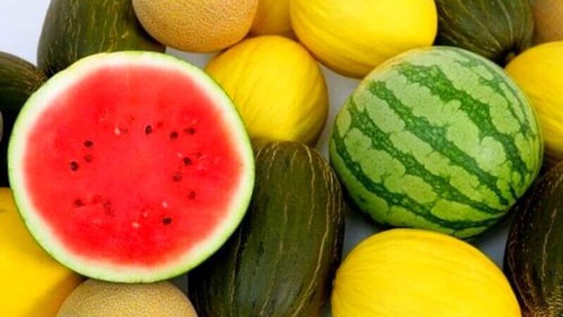 Watermelon and melon - dangerous fruit for diabetics